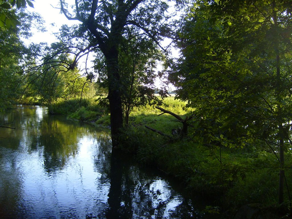 Strogen Langenpreising